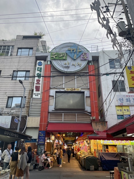 예스가발 이미지