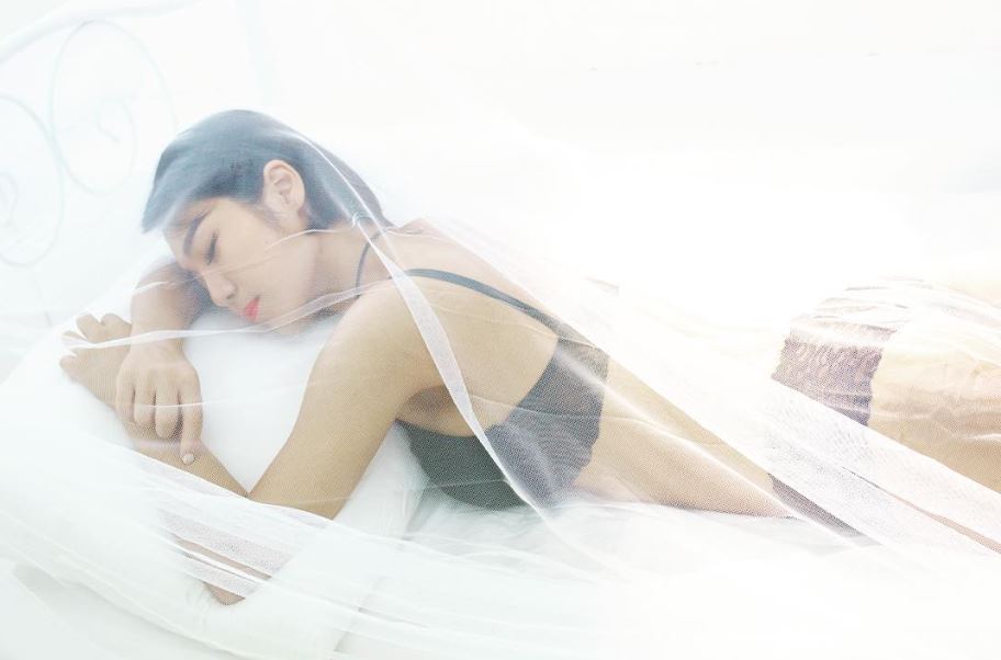민트니스 이미지