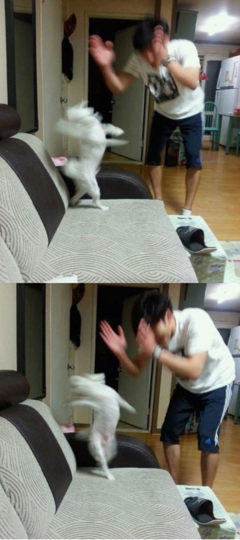 (주)서포트드림 이미지
