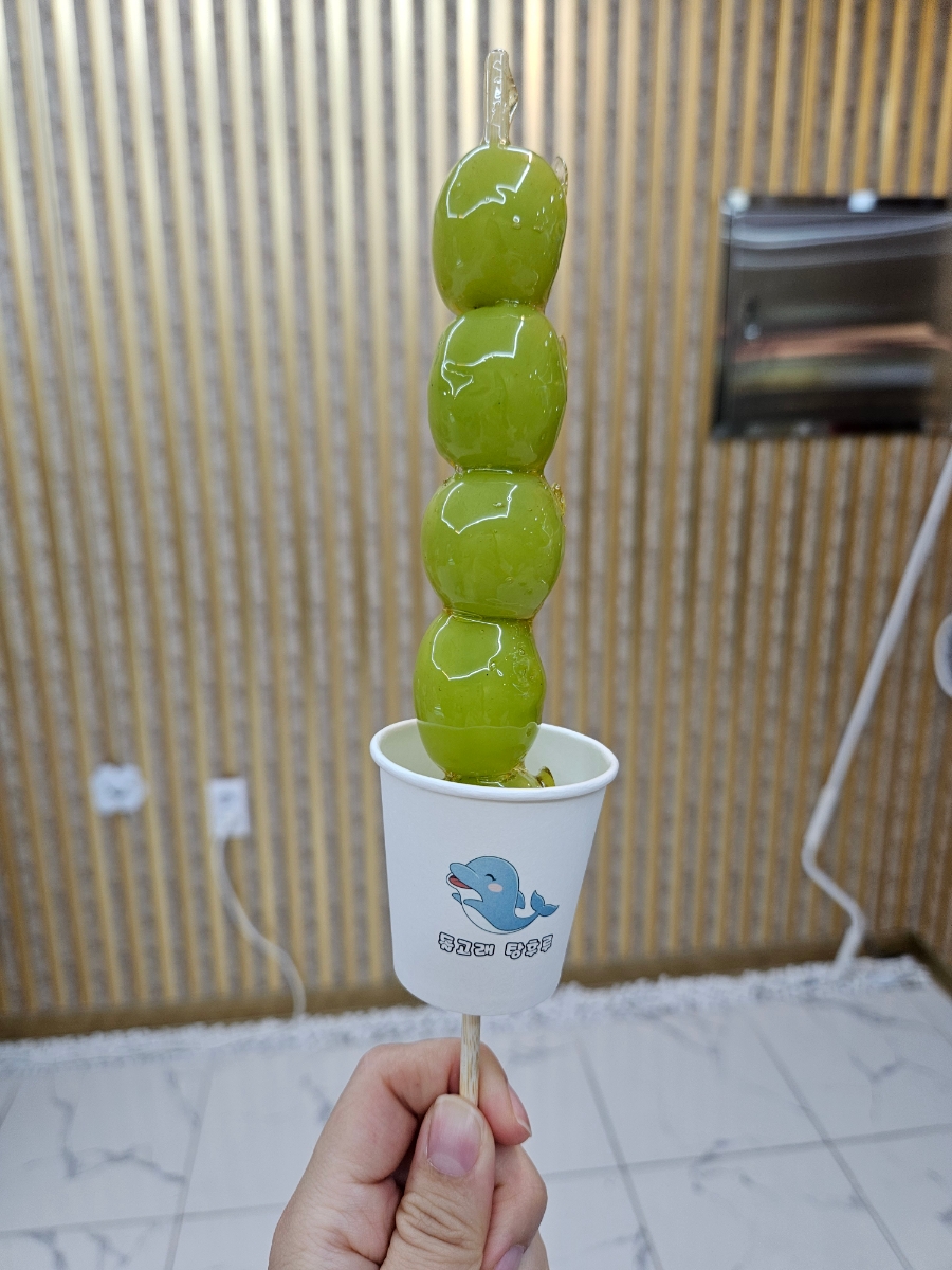 돌고래 탕후루 이미지
