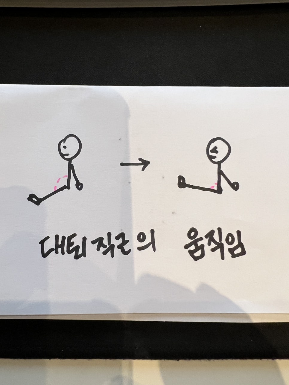 나의근육사용설명서 이미지