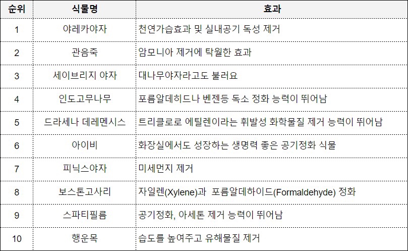 마지인테리어 이미지