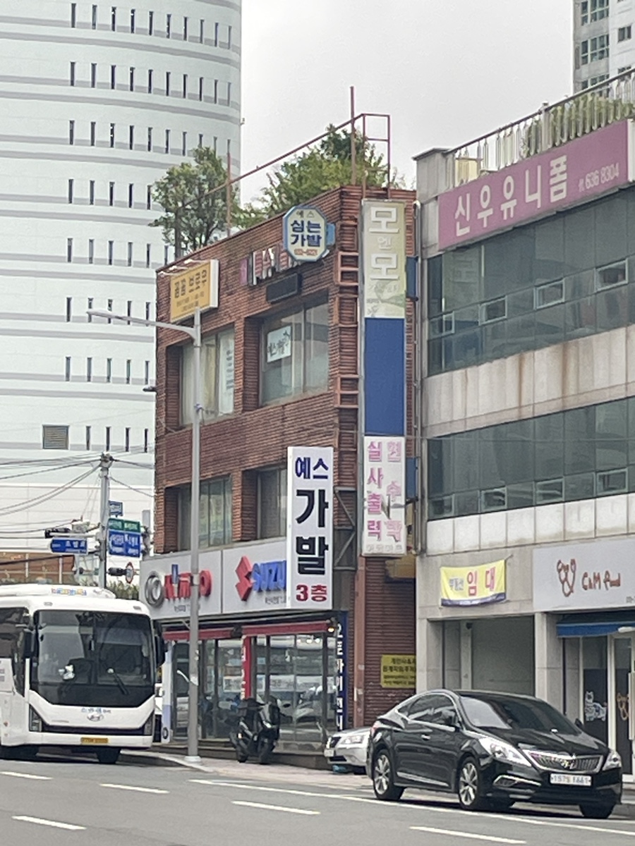 예스가발 이미지