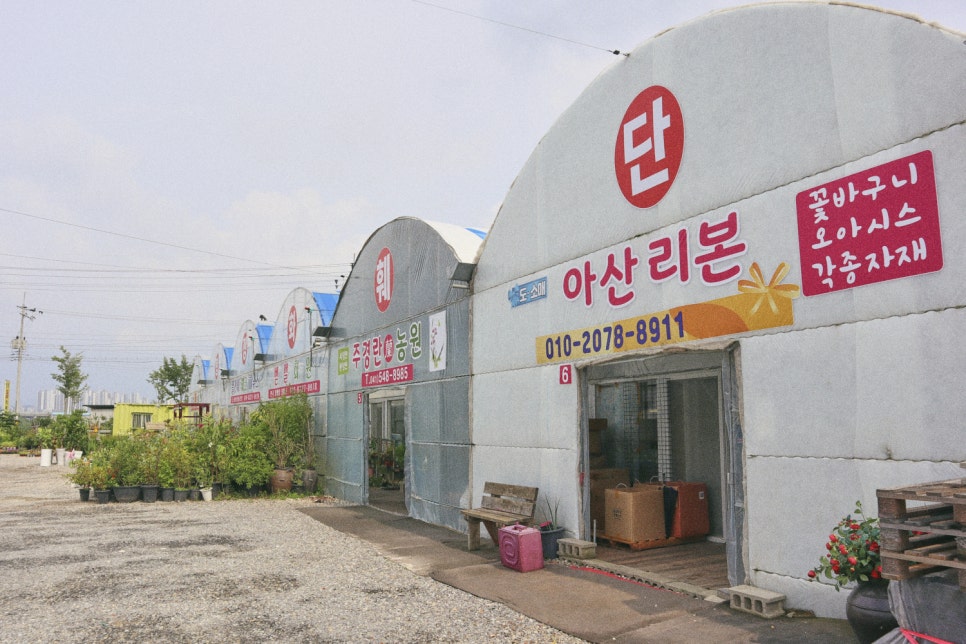 벧엘꽃농원 이미지