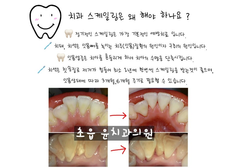 도담도담치과 이미지