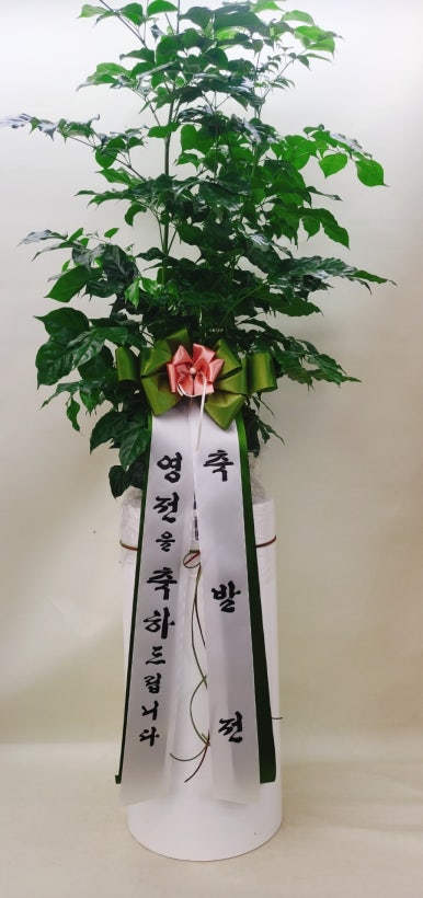 구돌씨커피 이미지