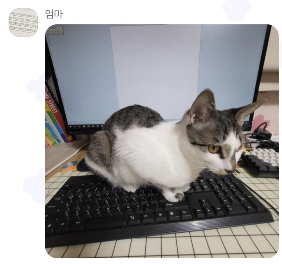 감동식 이미지