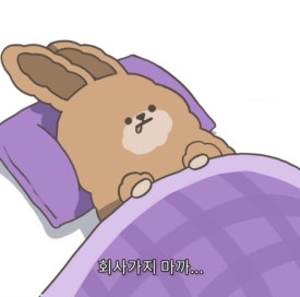 도토리잡화점 이미지
