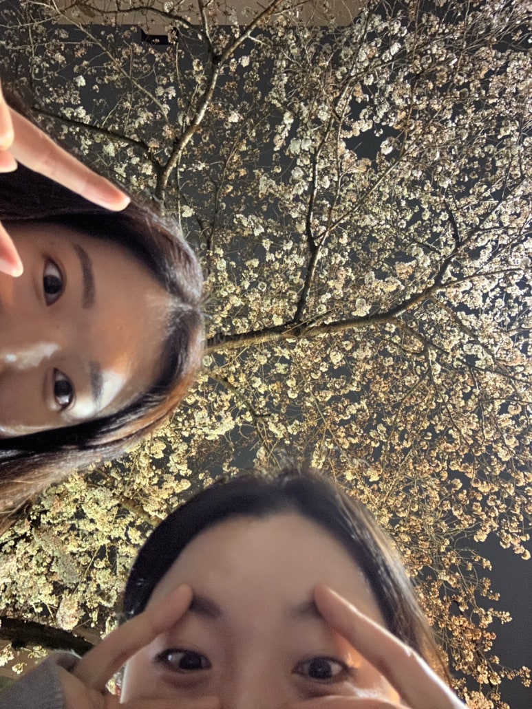 진목카페 이미지