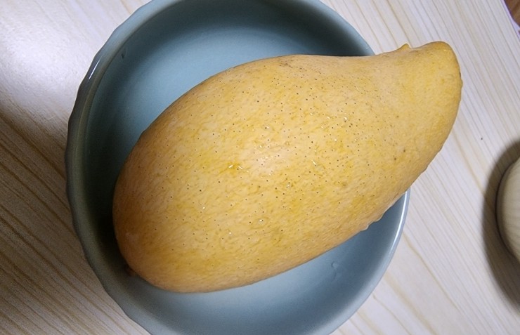 송미당 이미지