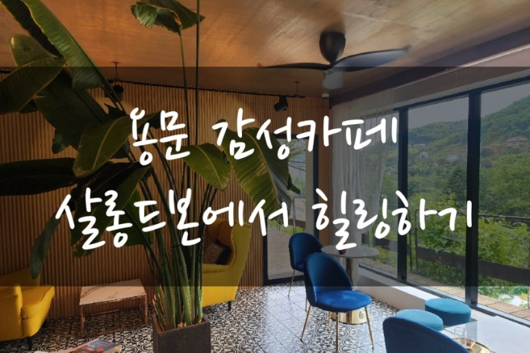 살롱드본 이미지
