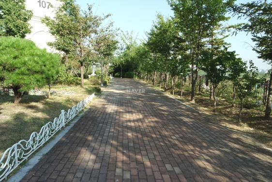 신창개발 이미지