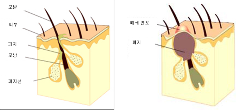 다채움피부과의원 이미지