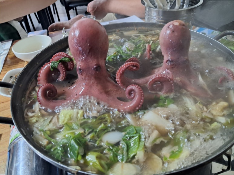 문어시대 이미지