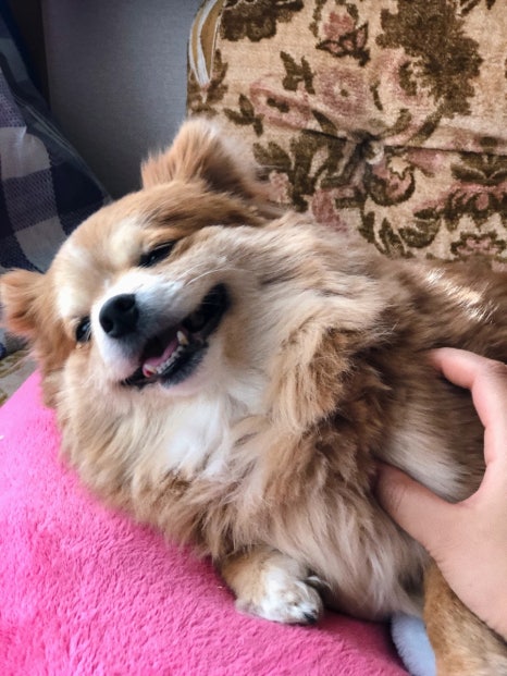 지지마루민박 이미지