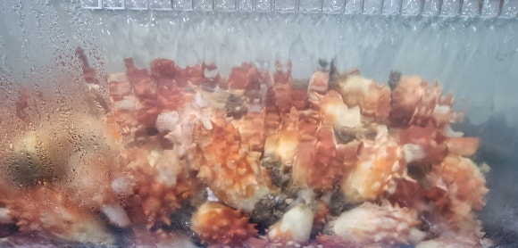 돌산수산 이미지