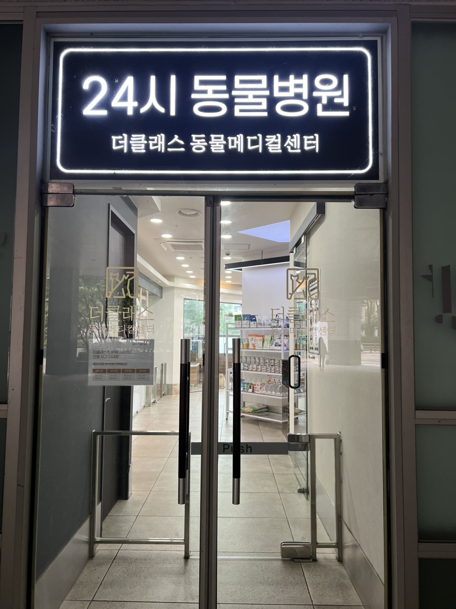 분당 말티푸 슬개골 진료, 기관지염 치료 후기 — 사진 3