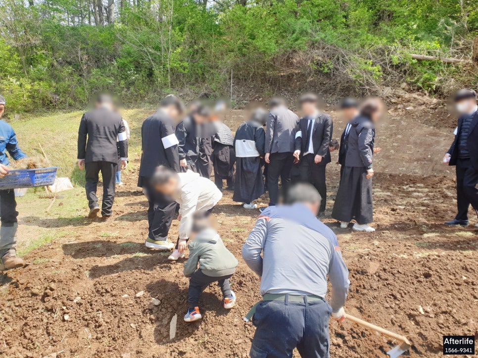 춘천상조 이미지