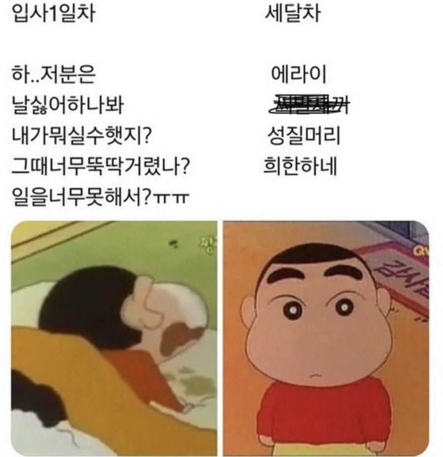 코알라즉석떡볶이 이미지