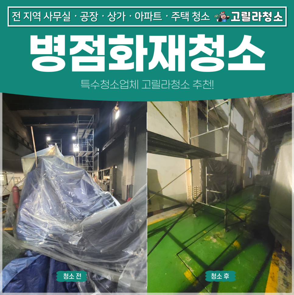 고릴라청소 이미지