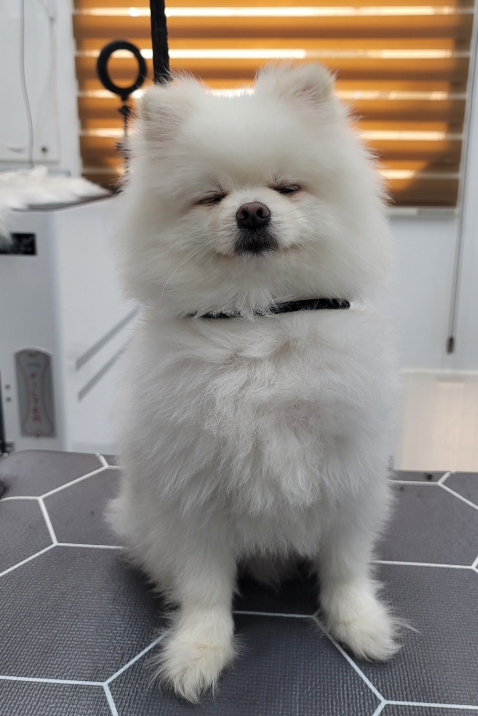 니나헤어 이미지