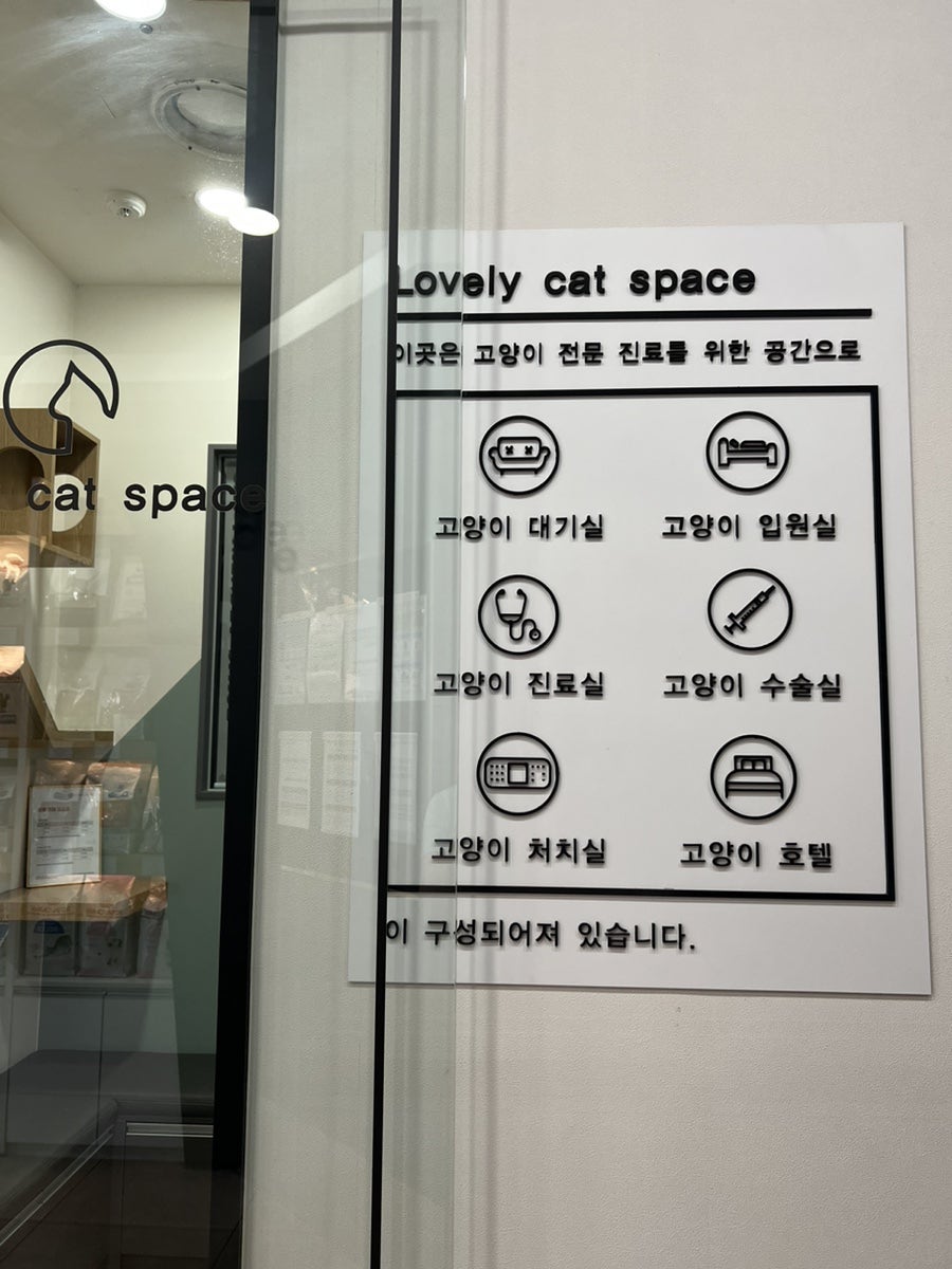 분당 말티푸 슬개골 진료, 기관지염 치료 후기 — 사진 12