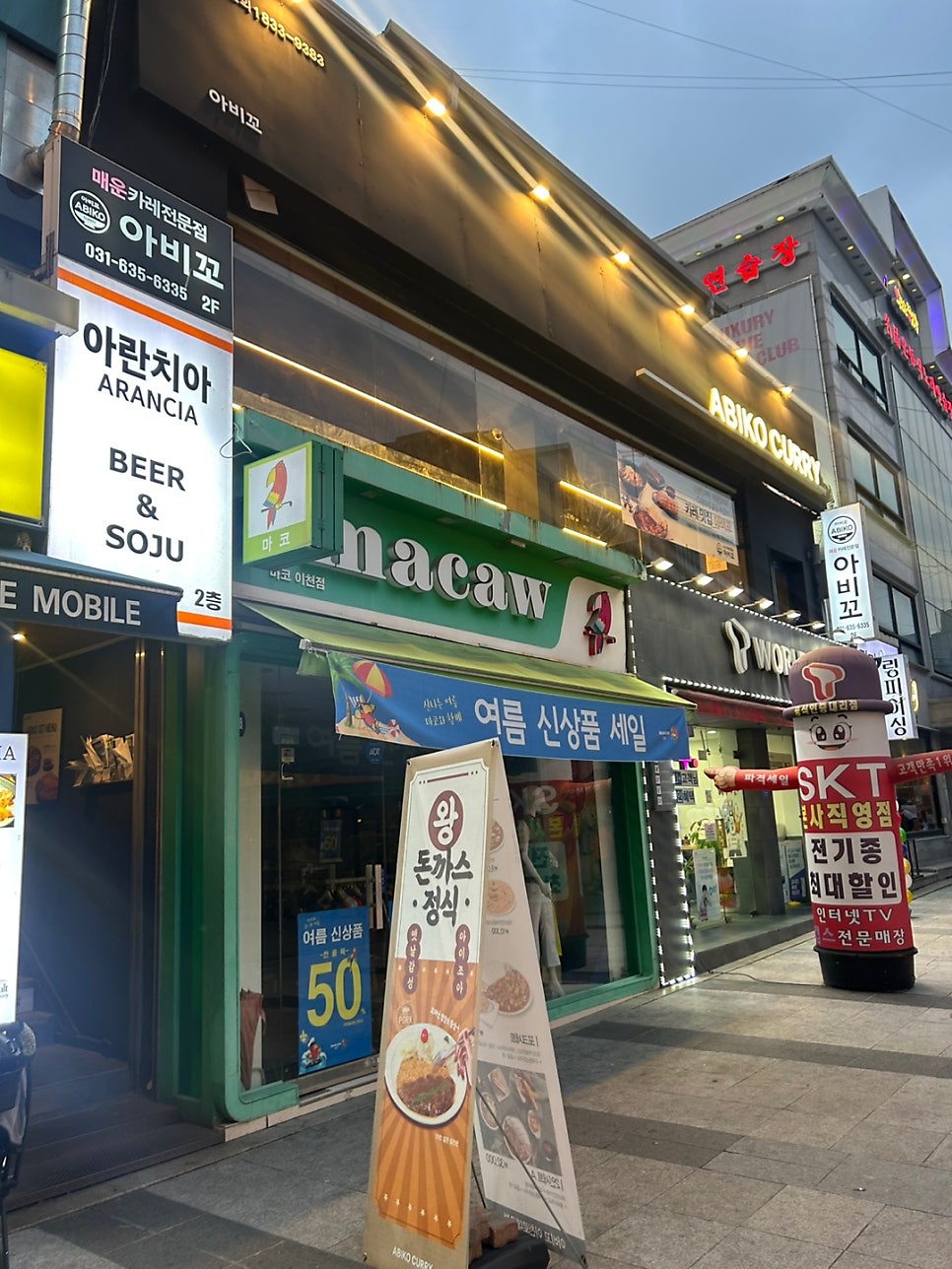 아비꼬이천 이미지