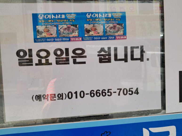 문어시대 이미지