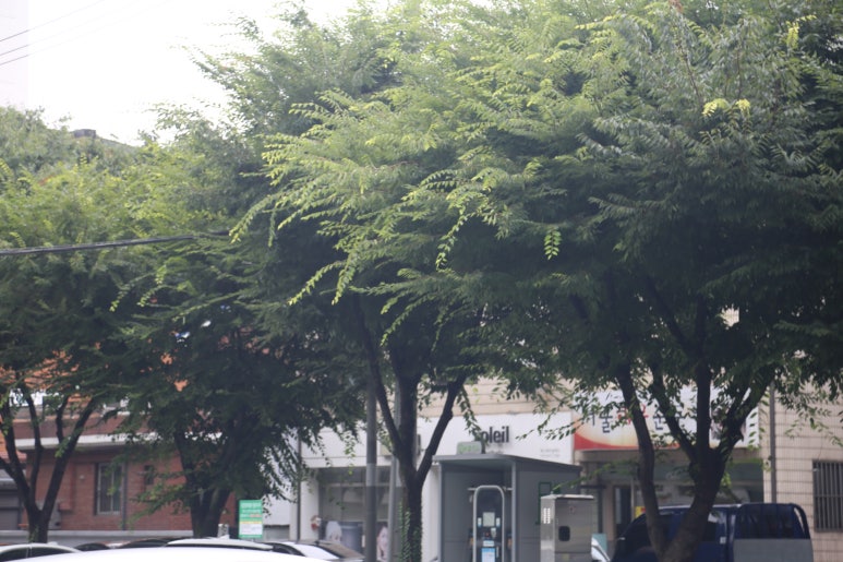 삼우애드 이미지