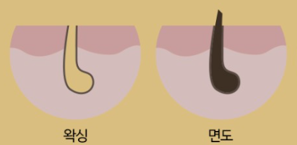 아오라뷰티 이미지
