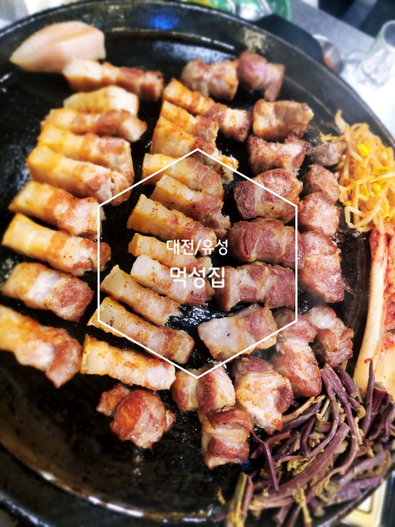 먹성집대전 이미지