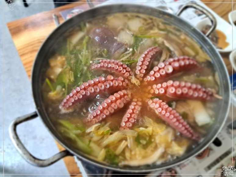 문어시대 이미지