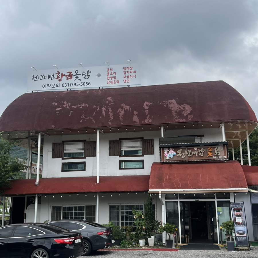 천년비법 옻닭 이미지