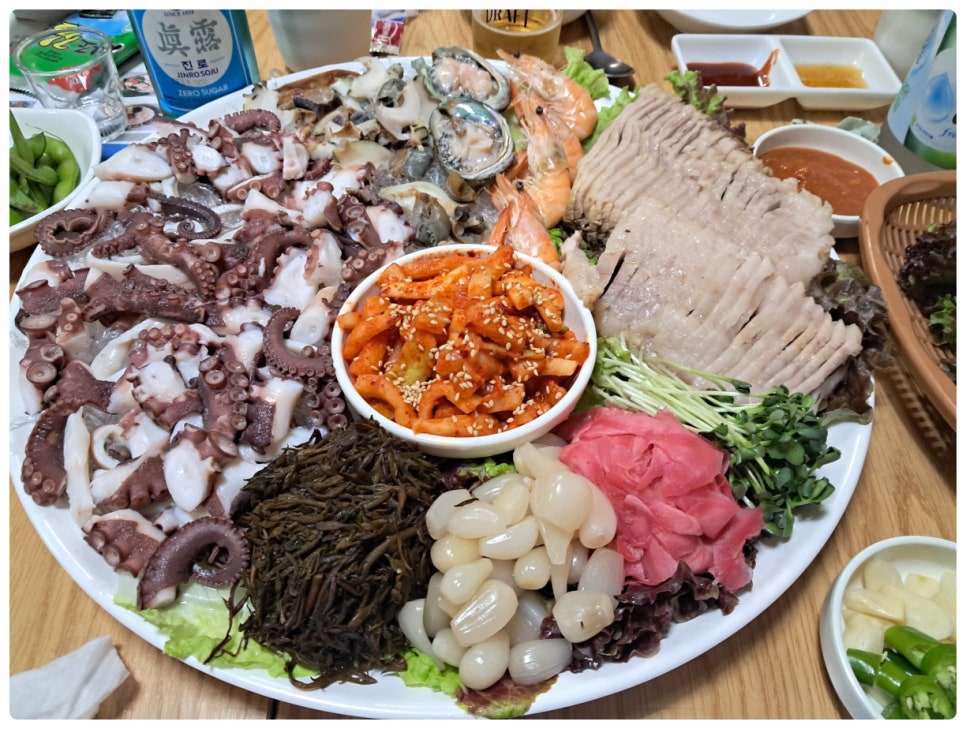 문어시대 이미지