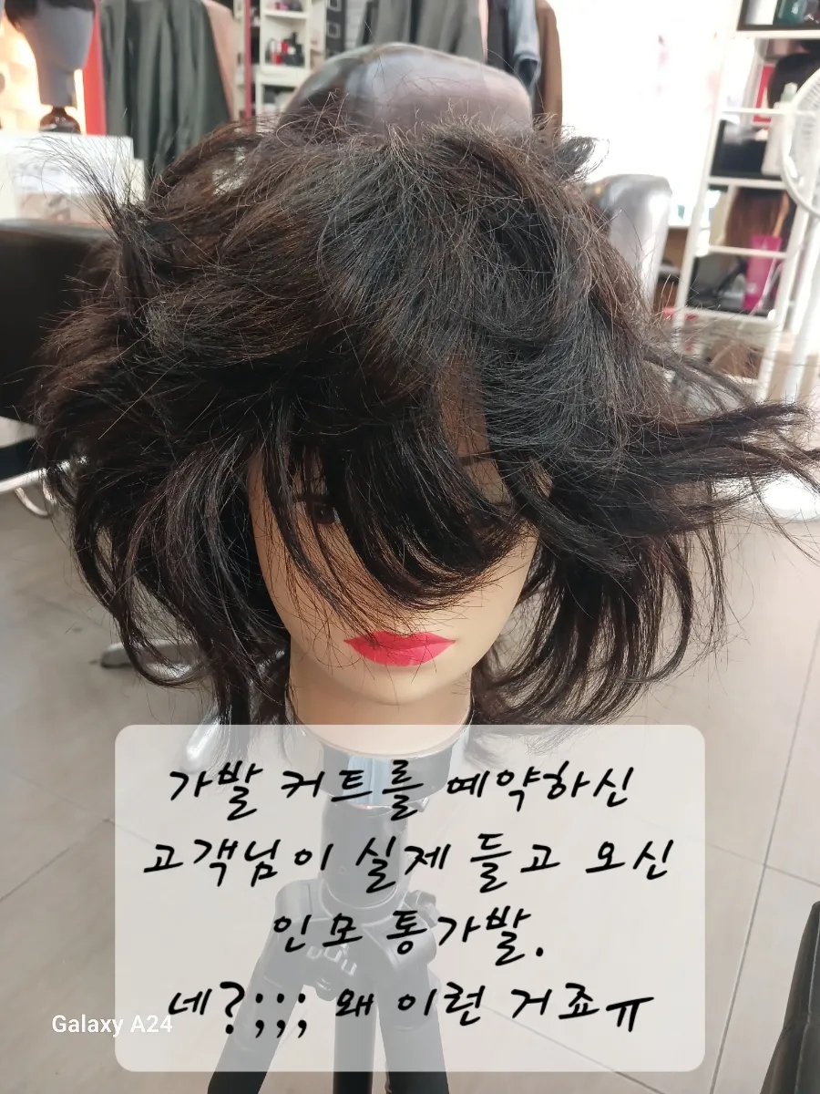 백가발 이미지