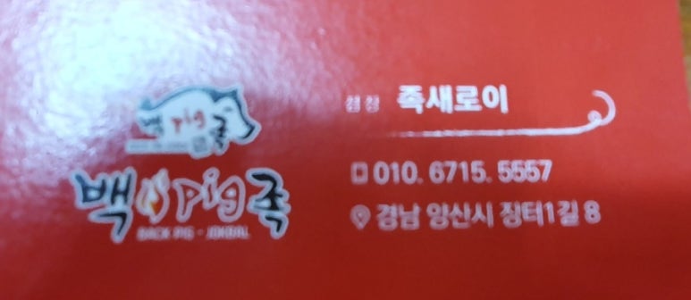 백pig족(백피그족) 이미지