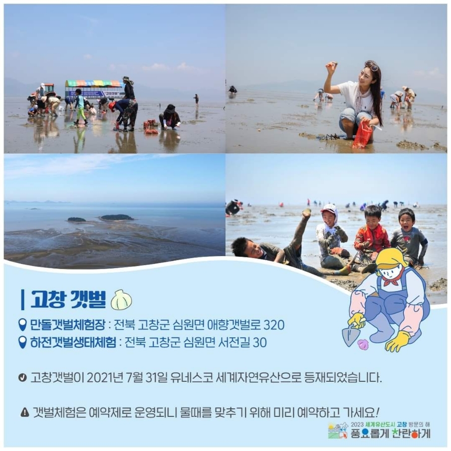 고창김밥 이미지