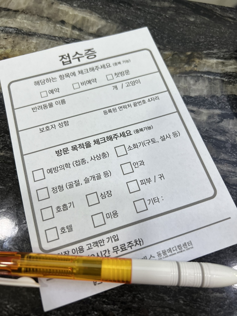 분당 말티푸 슬개골 진료, 기관지염 치료 후기 — 사진 6