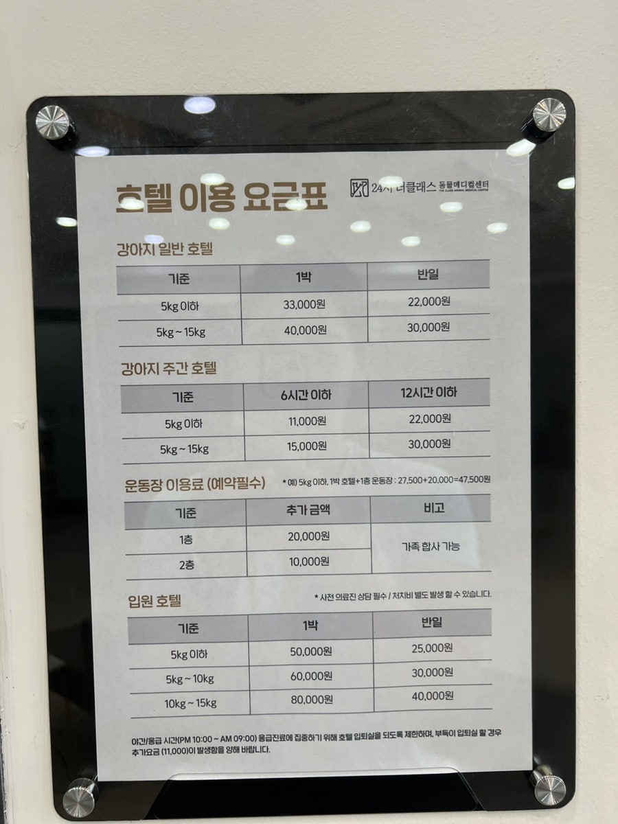 분당 말티푸 슬개골 진료, 기관지염 치료 후기 — 사진 15