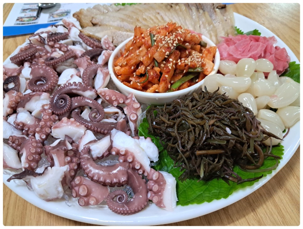 문어시대 이미지