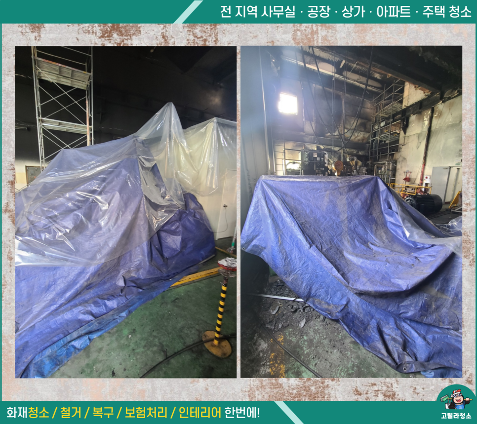 고릴라청소 이미지