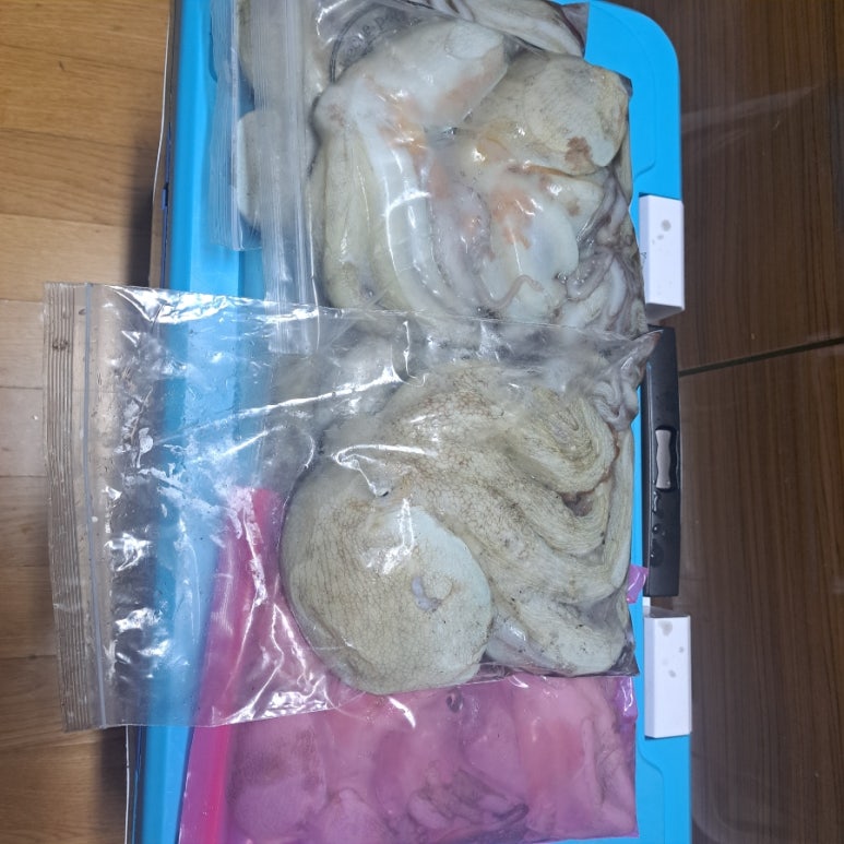 들어뽕피싱 이미지