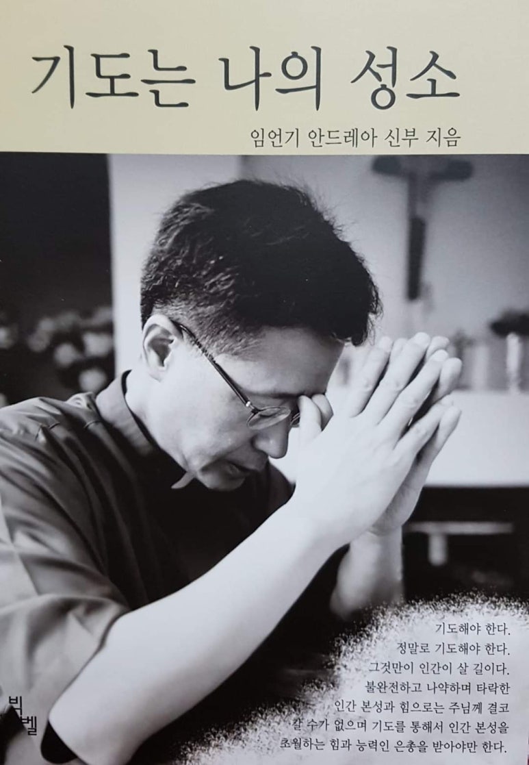 드레아 이미지
