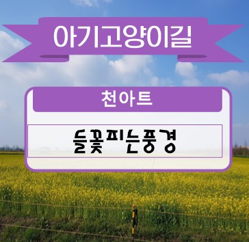 들꽃피는풍경 이미지