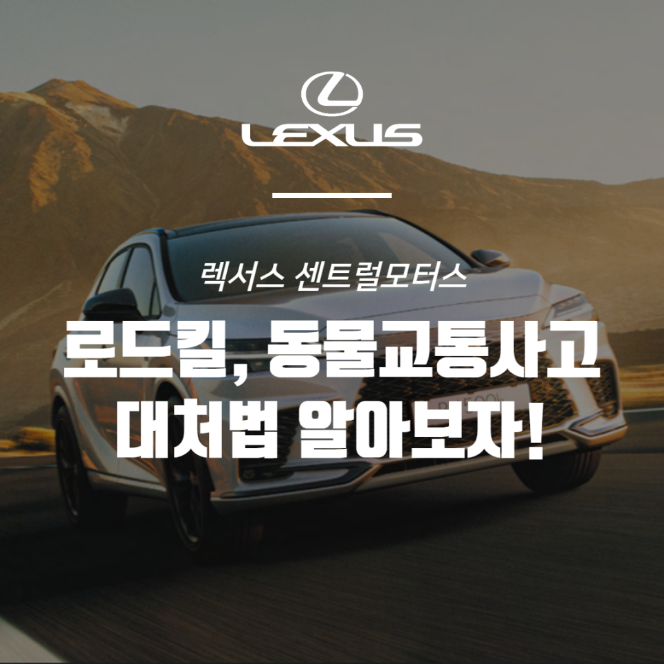 국도모터스 이미지
