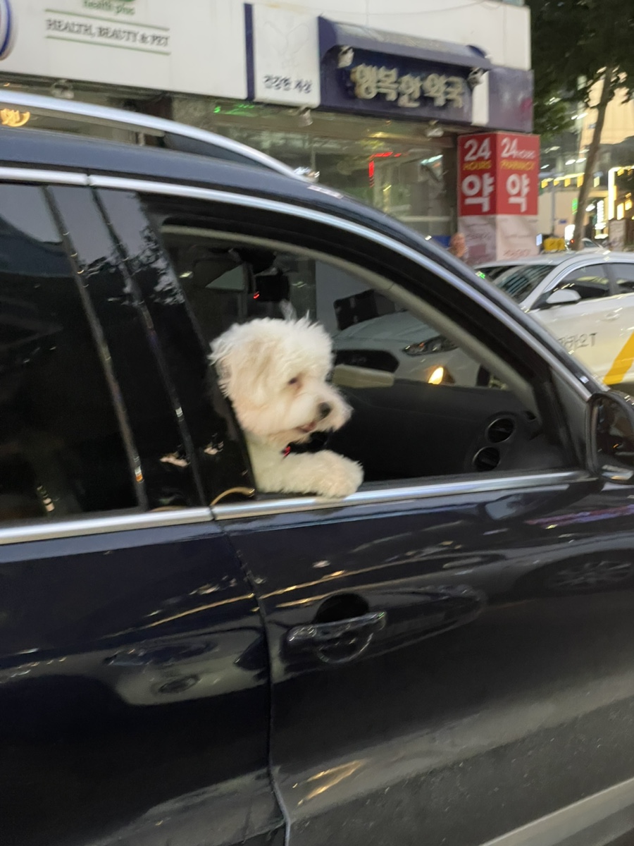 주바오 이미지