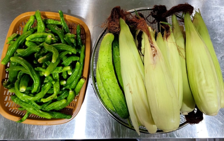 늘솜진국수&계절미식가 이미지