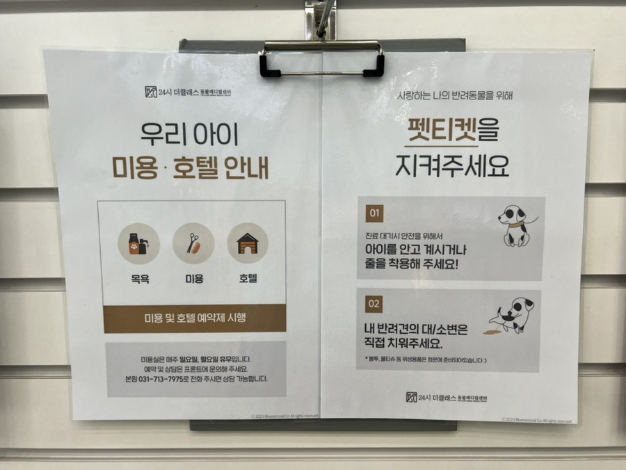 분당 말티푸 슬개골 진료, 기관지염 치료 후기 — 사진 19