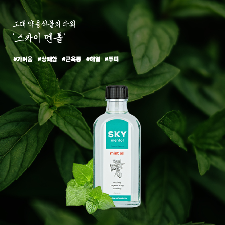 리아허브 이미지