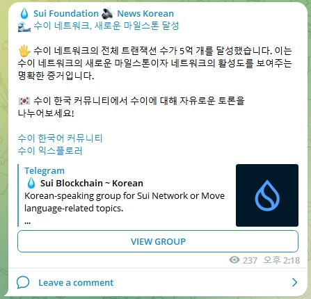 레이어프로젝트 이미지